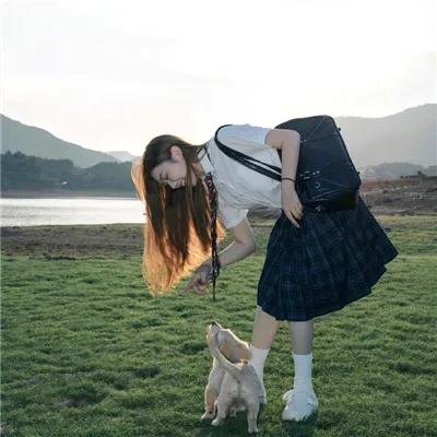 警犬赤龙海报
