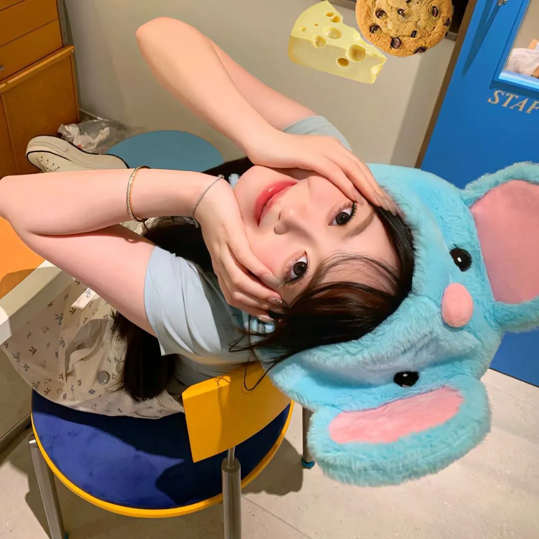 玫瑰皇后海报